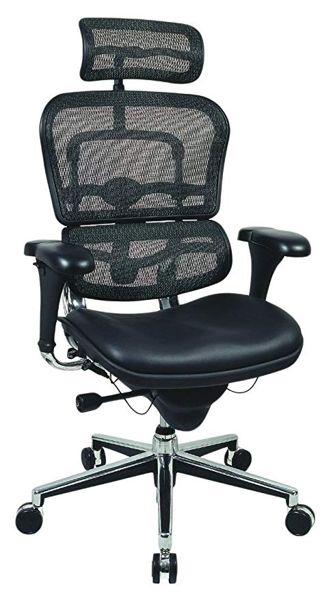 Ergo Human High Back Mesh Chair - BillLentis.com