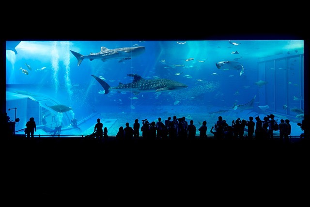 Miami Sea Aquarium - BillLentis.com
