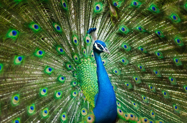 Miami Zoo - BillLentis.com