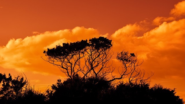 National Park - BillLentis.com