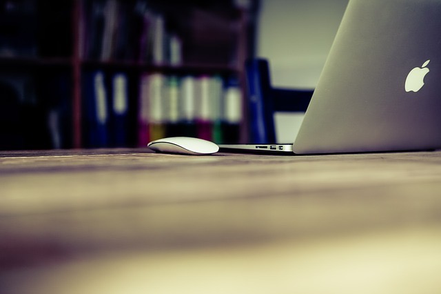 SEO Optimization Guidelines - BillLentis.com